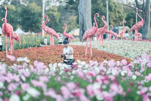 BIB: 
                            <button type="button" onclick="openModal(27344042)" class="btn btn-primary btn-sm float-right btn-popup" data-toggle="modal" data-target=".modal-high-quality">
                        <i class="fas fa-shopping-cart"></i> Add to Cart
                    </button>
                                            <button type="button" onclick="isThisMe(27344042, true)" class="btn btn-success btn-sm float-right btn-popup btn-isme hidden" data-toggle="tooltip" data-placement="bottom" title="นี่คือรูปของคุณใช่ไหม คลิกที่นี่เพื่อเอาเข้าอัลบั้ม">
                        <i class="fas fa-plus"></i> Add to album
                    </button>
                    <button type="button" onclick="isThisMe(27344042, false)" class="btn btn-warning btn-sm float-right btn-popup btn-isnotme hidden">
                        <i class="fas fa-ban"></i> Remove from album
                    </button>